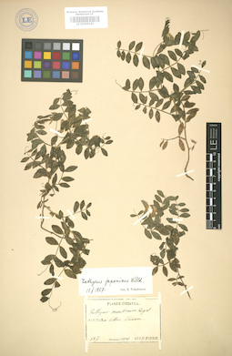 LE 01005143
