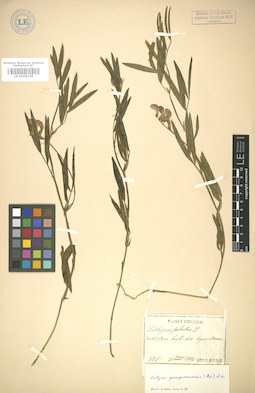LE 01005148
