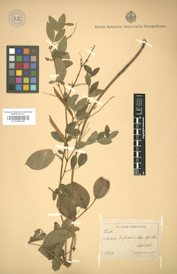 LE 01005149