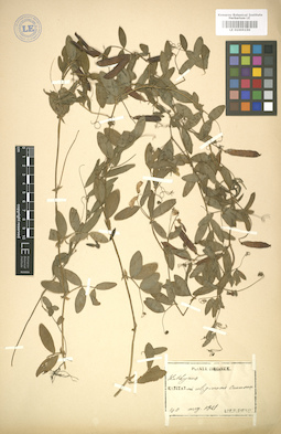 LE 01005150