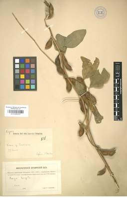 LE 01005157