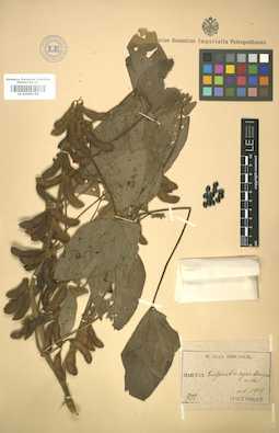 LE 01005158