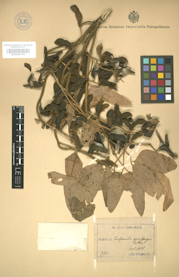 LE 01005159