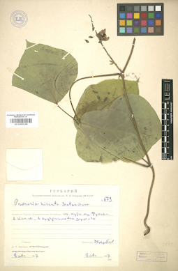 LE 01005168
