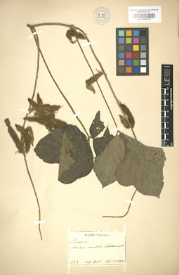 LE 01005172