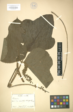 LE 01005173
