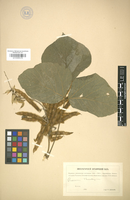 LE 01005179