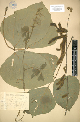 LE 01005183