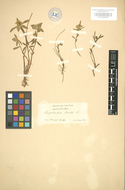 LE 01005246