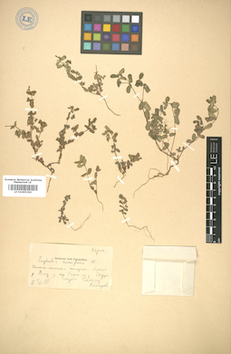 LE 01005256