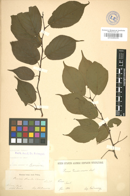 LE 01005279