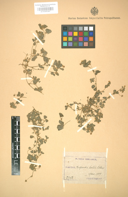 LE 01005287