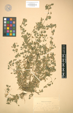 LE 01005288