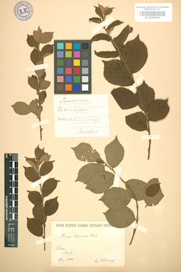 LE 01005292