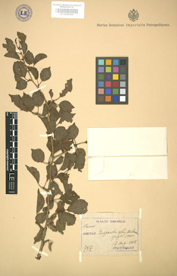 LE 01005300