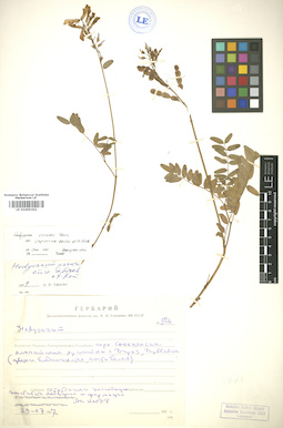 LE 01005302
