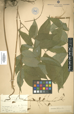 LE 01005311