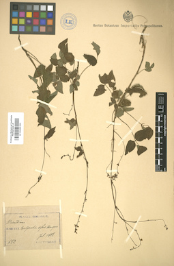 LE 01005322