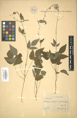LE 01005323