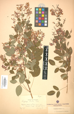 LE 01005327