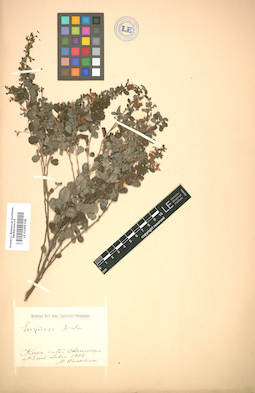 LE 01005328