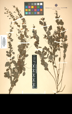 LE 01005330