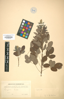 LE 01005340