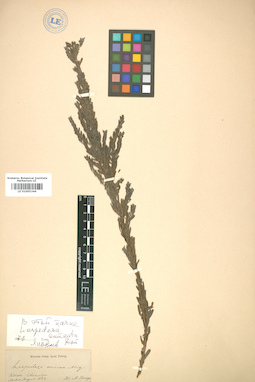 LE 01005344