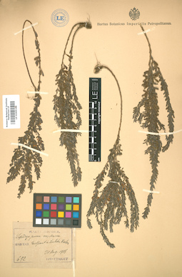 LE 01005348