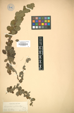 LE 01005351