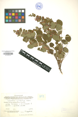 LE 01005353