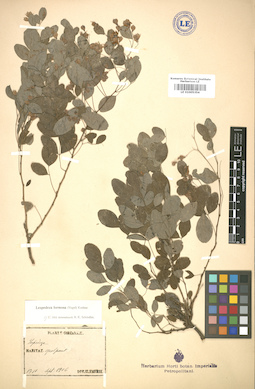 LE 01005354