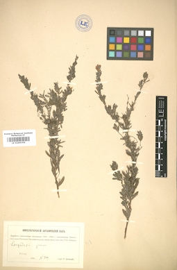 LE 01005356