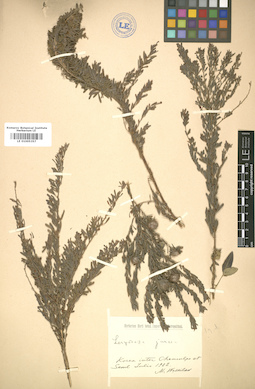LE 01005357