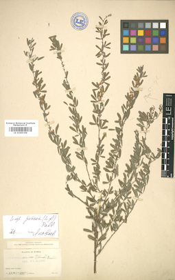 LE 01005359