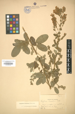 LE 01005361