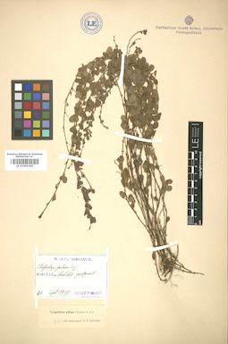 LE 01005364