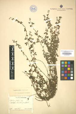 LE 01005365