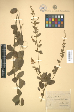LE 01005369