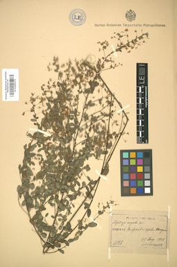 LE 01005372