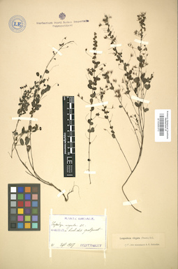 LE 01005373