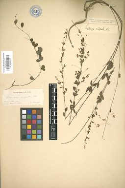LE 01005375