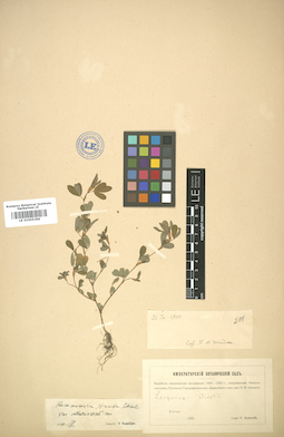 LE 01005396