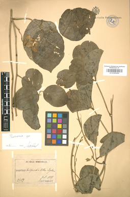 LE 01005404