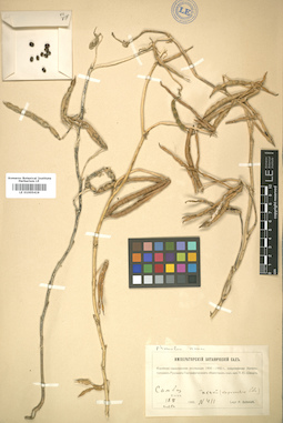 LE 01005419