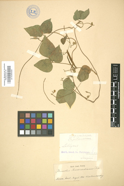 LE 01005420