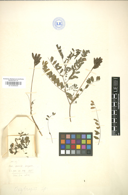 LE 01005435