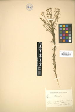 LE 01005495