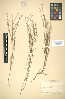LE 01005535