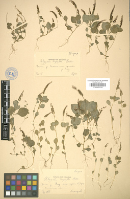 LE 01005536